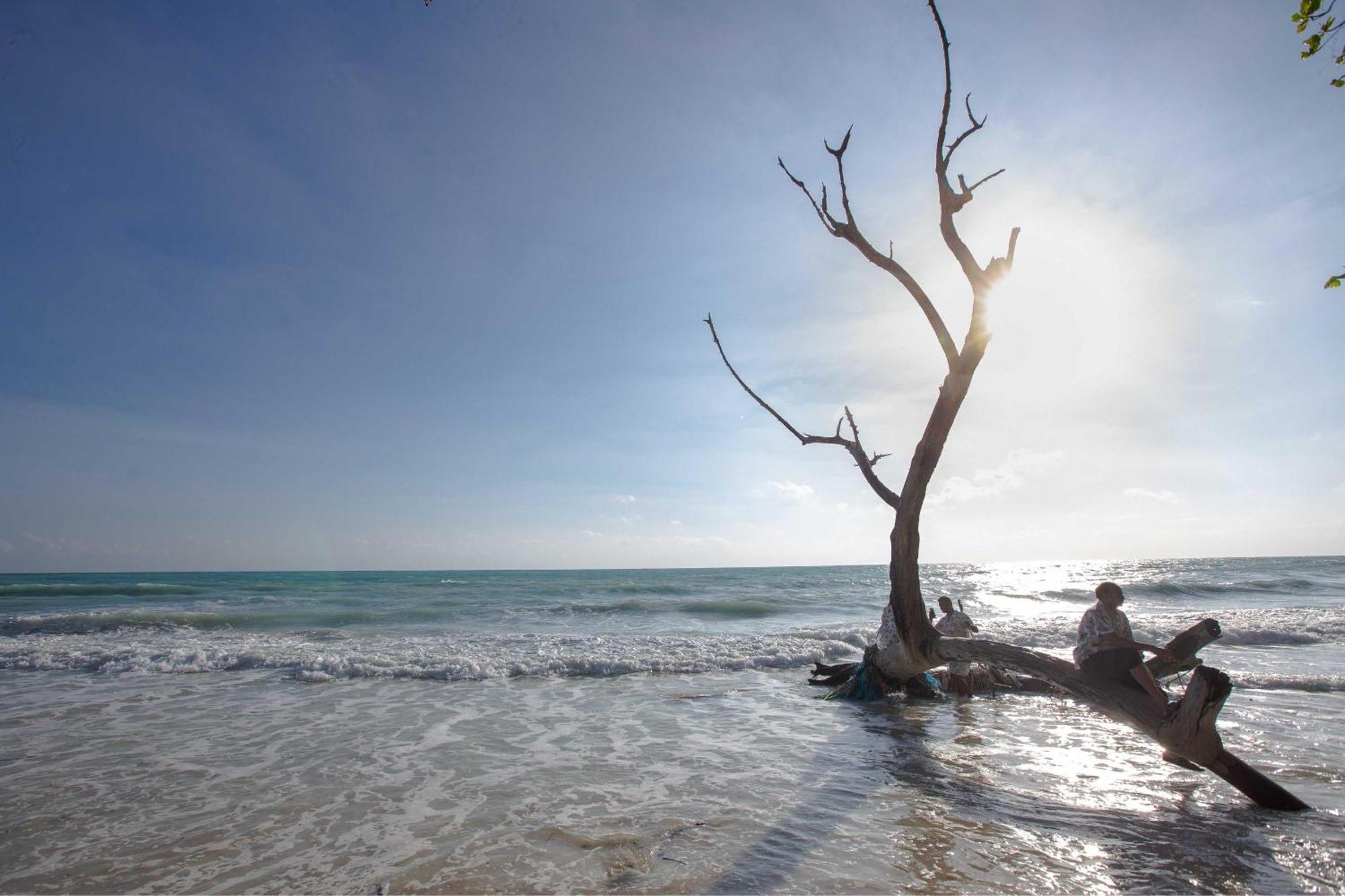 Coral Reef & Spa, Havelock Resort 5*